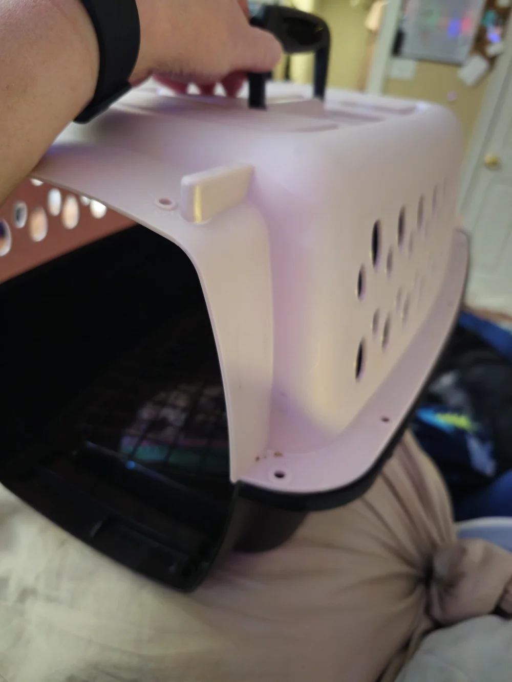 Petmate Fashion Vari Travel Dog Kennel Durable Plastic Pet Carrier, 19